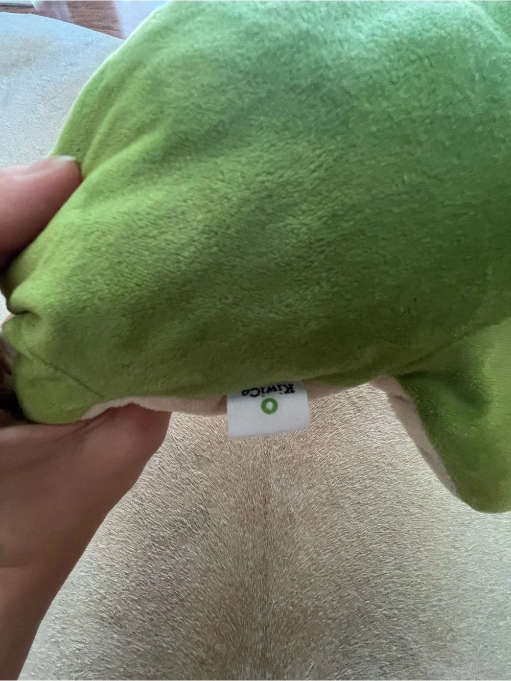 Frog Dissection Plush